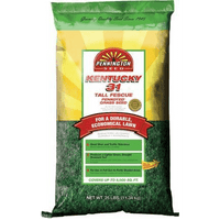 Kentucky 31 Tall Fescue Grass Seed - Raw