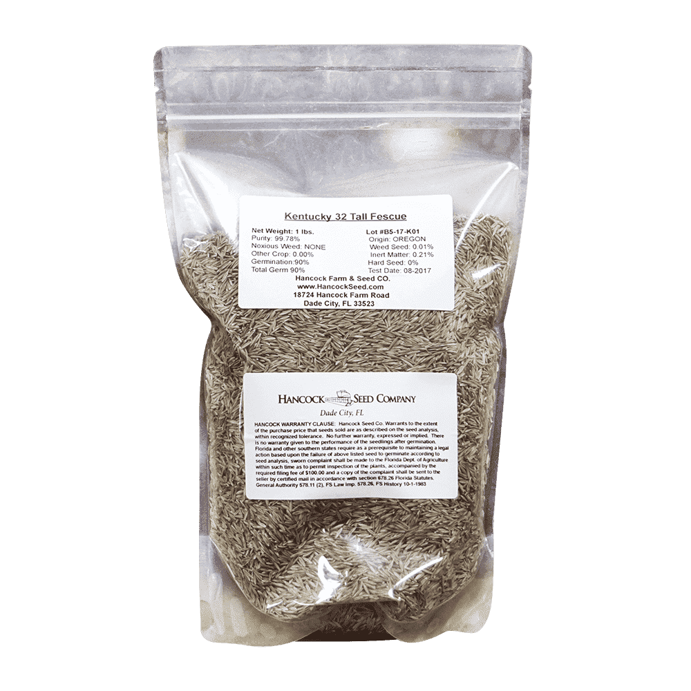 Kentucky 32 Tall Fescue Grass Seed