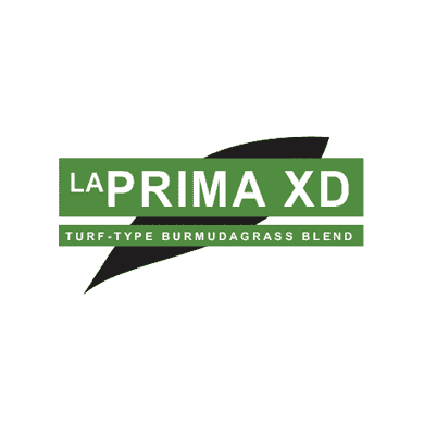 LaPrima XD Bermuda Grass Seed