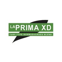 LaPrima XD Bermuda Grass Seed