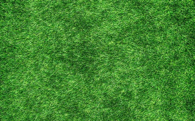 LaPrima Bermuda Grass Seed