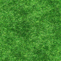 LaPrima Bermuda Grass Seed