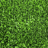 Hancock's Microlawn Seed Mix