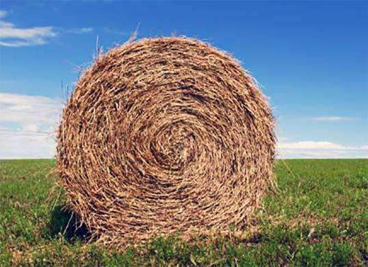 Mulch Erosion Straw Hay - Round Roll