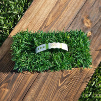 Icon Zoysia Lawn Plugs