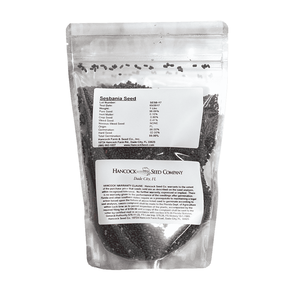 Sesbania Seed