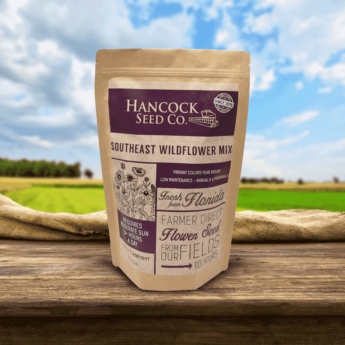 native southeast wildflower seed mix Hancock's Southeast Wildflower Seed Mix – Hancock Seed