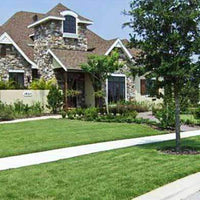 15-0-04 Carpetgrass Weed & Feed Fertilizer