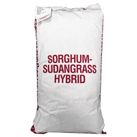 Sterile Sorghum Seed