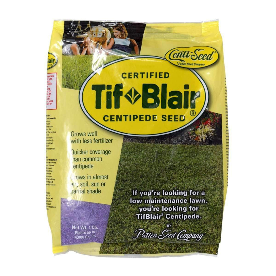 TifBlair Centipede Grass Seed