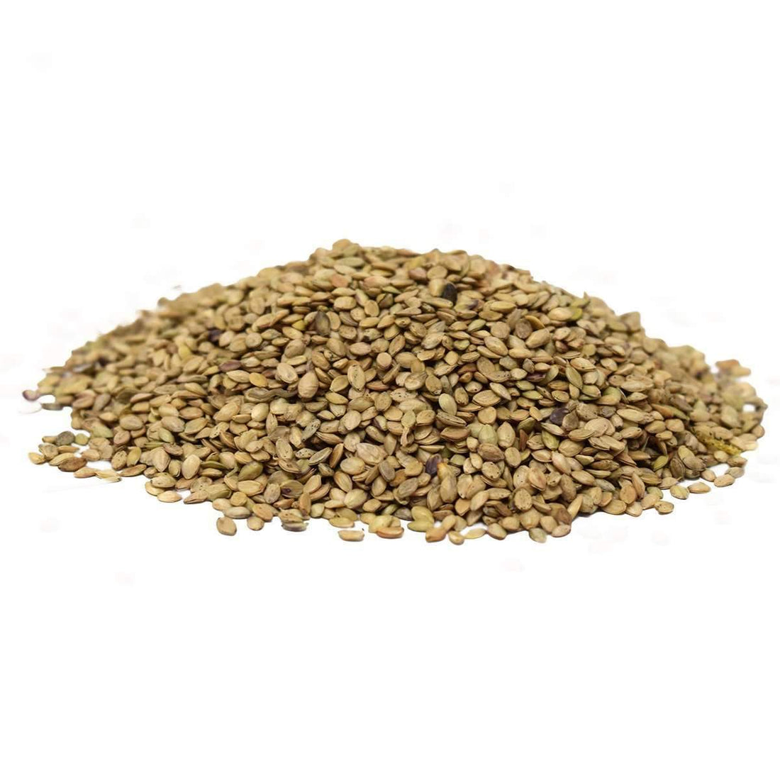 TifQuik Bahia Grass Seed - Certified