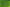 TifQuik Bahia Grass Seed - Certified
