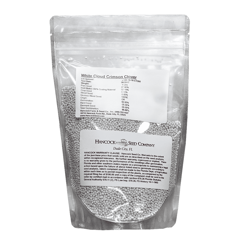 White Cloud Crimson Clover Seed