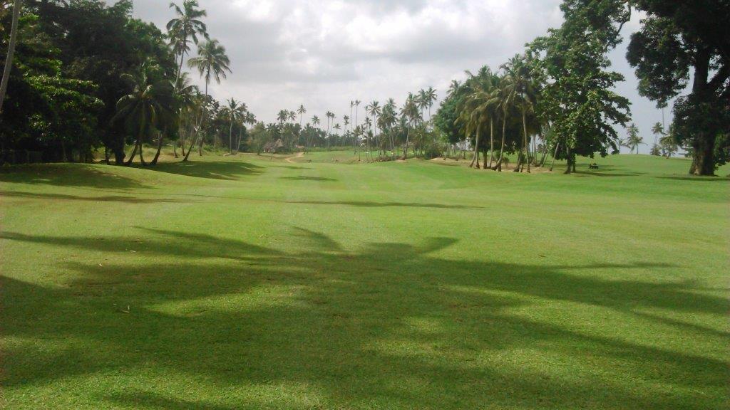 Yukon Bermuda Grass Seed