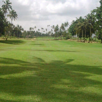 Yukon Bermuda Grass Seed