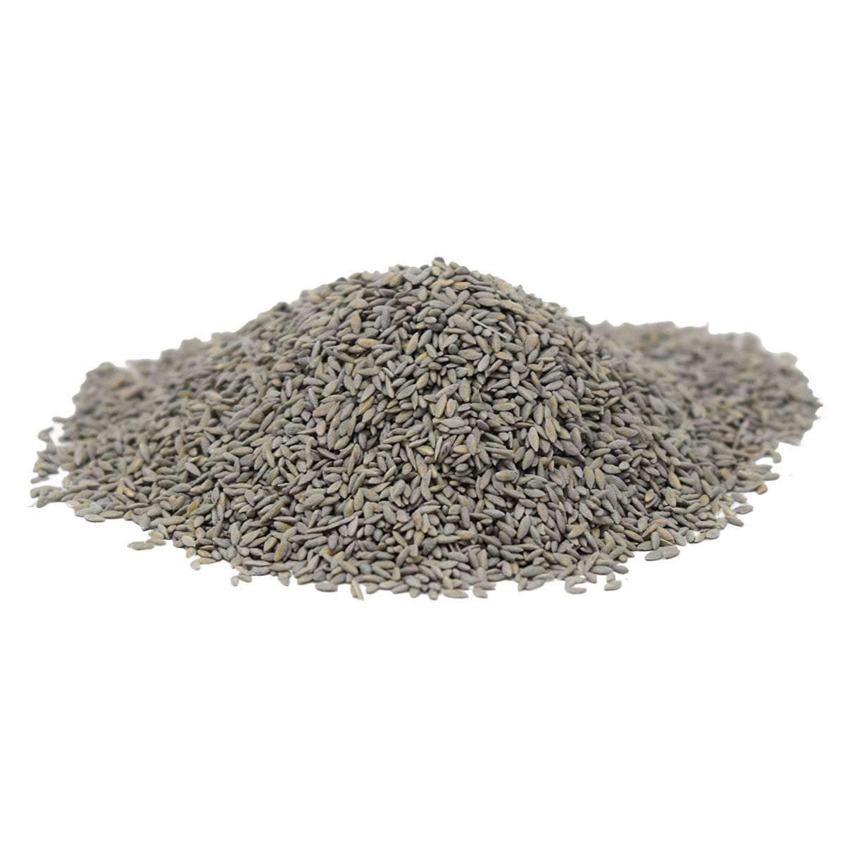 yukon bermuda grass seed lowes Yukon Bermuda Grass Seed