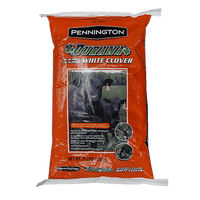 Durana White Clover Seed - Certified