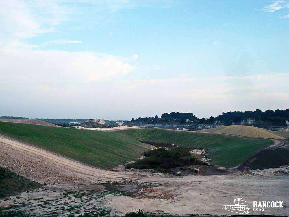 Hancock's Erosion Control Spring & Summer Seed Mix (Pre-Order)