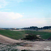 Hancock's Erosion Control Spring & Summer Seed Mix (Pre-Order)