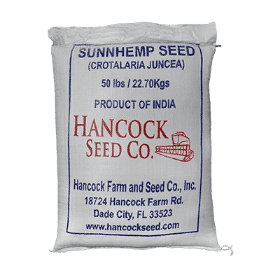 Sunn Hemp Seeds at Rs 65/kg in Rangareddy
