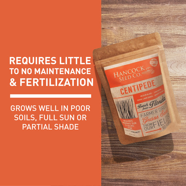 Hancock's Centipede Grass Seed Raw