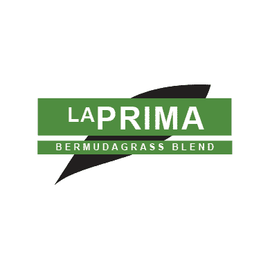 LaPrima Bermuda Grass Seed