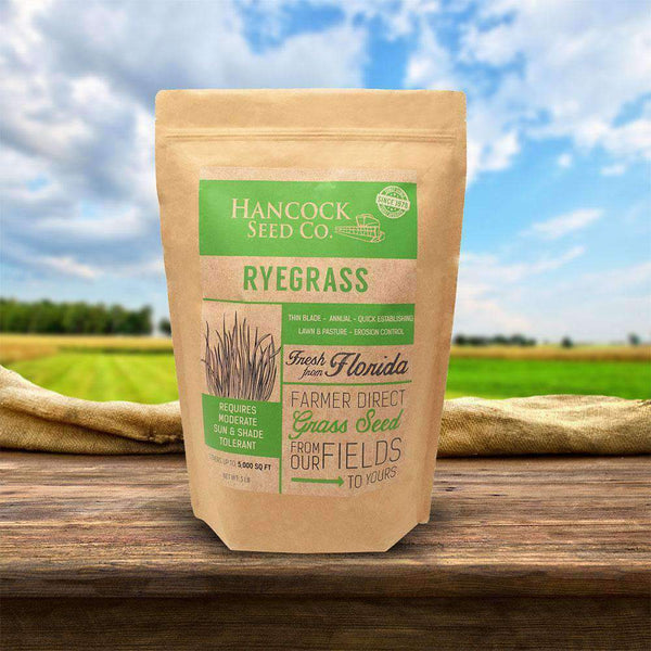 Hancock's Pasture Ryegrass Seed – hancockseed.com