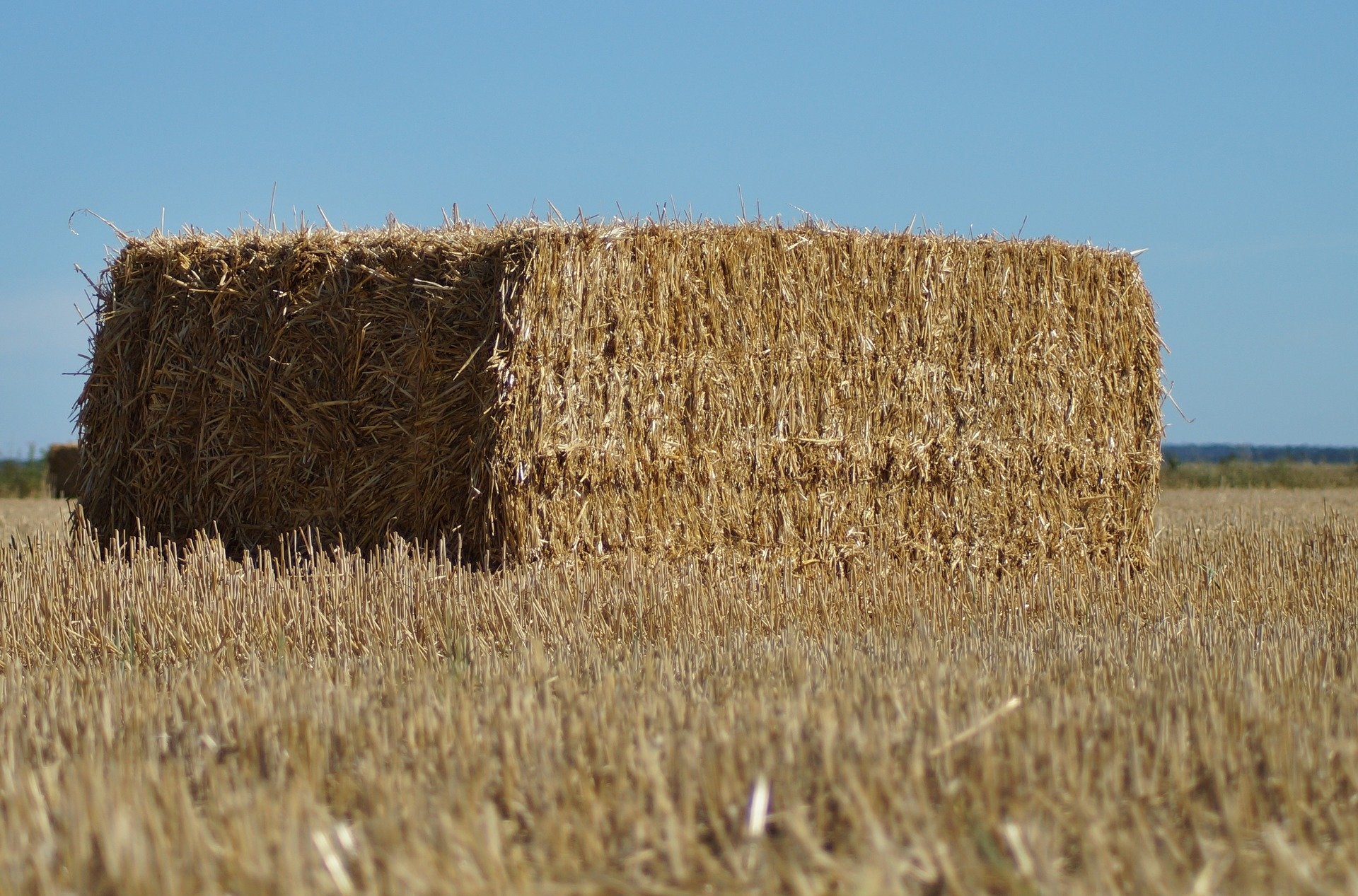 Square Bale Straw Rye