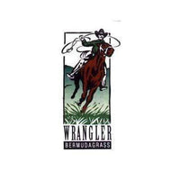 Wrangler Bermuda Grass Seed