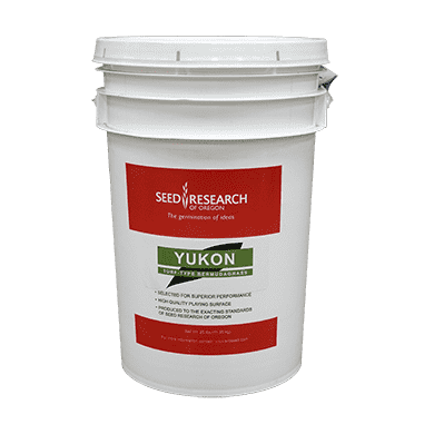 Yukon Bermuda Grass Seed