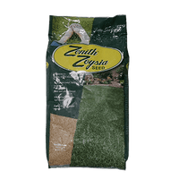 Edward Zenith Zoysia Grass Seeds (4 Pack – 20,000+ Seeds) For A Lush, Easy-Care Perennial Lawn